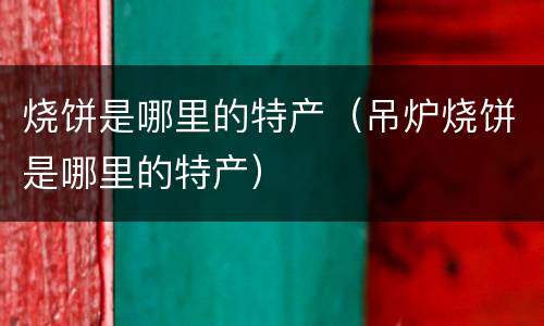 烧饼是哪里的特产（吊炉烧饼是哪里的特产）