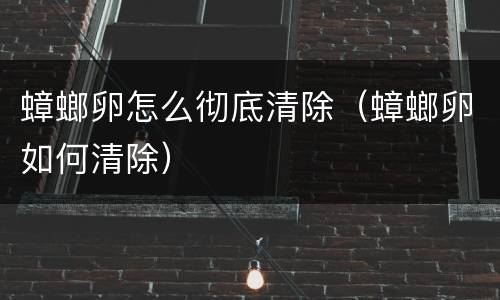 蟑螂卵怎么彻底清除（蟑螂卵如何清除）