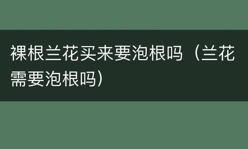 裸根兰花买来要泡根吗（兰花需要泡根吗）