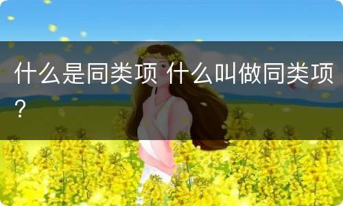 什么是同类项 什么叫做同类项?