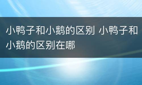小鸭子和小鹅的区别 小鸭子和小鹅的区别在哪