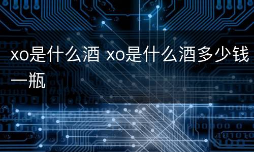 xo是什么酒 xo是什么酒多少钱一瓶