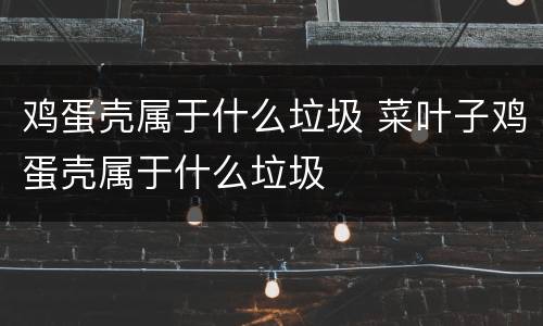 鸡蛋壳属于什么垃圾 菜叶子鸡蛋壳属于什么垃圾