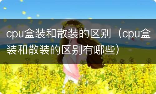 cpu盒装和散装的区别（cpu盒装和散装的区别有哪些）