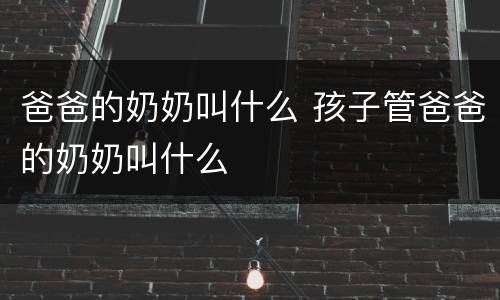 爸爸的奶奶叫什么 孩子管爸爸的奶奶叫什么