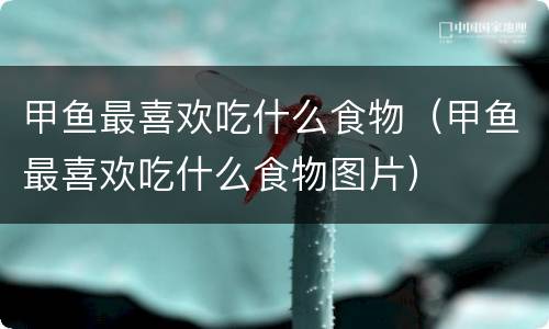 甲鱼最喜欢吃什么食物（甲鱼最喜欢吃什么食物图片）