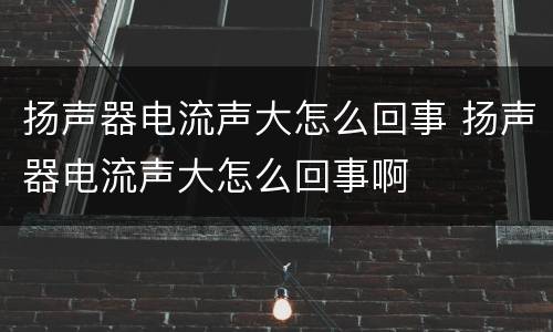 扬声器电流声大怎么回事 扬声器电流声大怎么回事啊