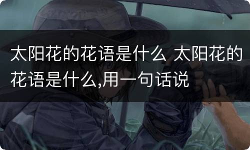 太阳花的花语是什么 太阳花的花语是什么,用一句话说