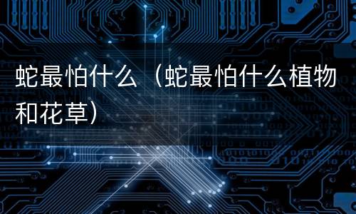 蛇最怕什么（蛇最怕什么植物和花草）