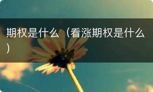 期权是什么（看涨期权是什么）