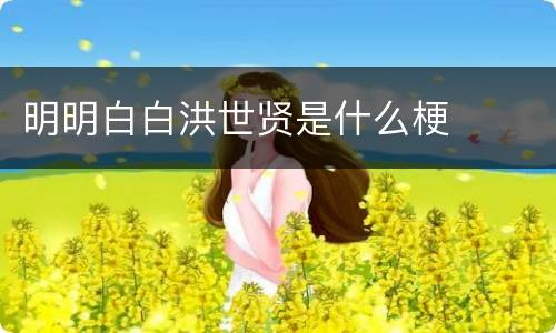 明明白白洪世贤是什么梗