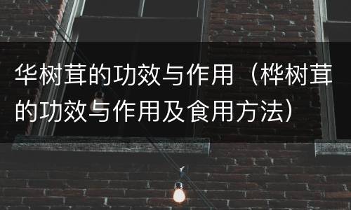 华树茸的功效与作用（桦树茸的功效与作用及食用方法）