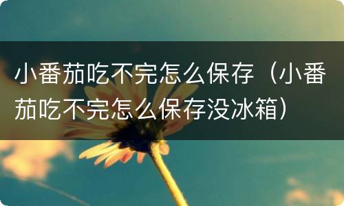 小番茄吃不完怎么保存（小番茄吃不完怎么保存没冰箱）