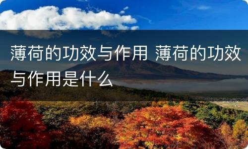 薄荷的功效与作用 薄荷的功效与作用是什么