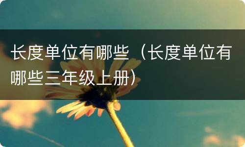 长度单位有哪些（长度单位有哪些三年级上册）