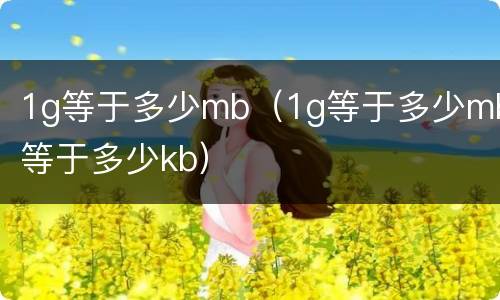 1g等于多少mb（1g等于多少mb等于多少kb）
