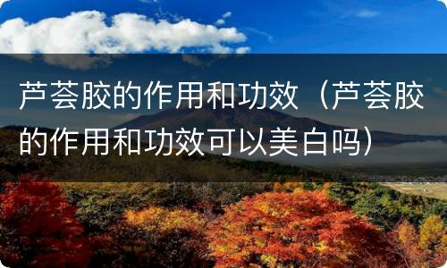 芦荟胶的作用和功效（芦荟胶的作用和功效可以美白吗）
