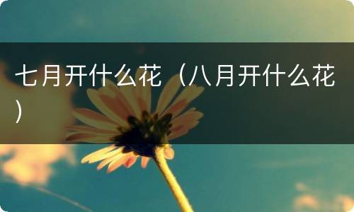 七月开什么花（八月开什么花）
