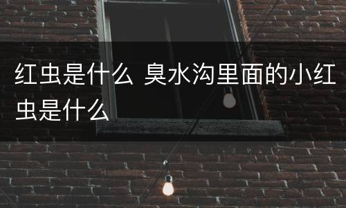 红虫是什么 臭水沟里面的小红虫是什么