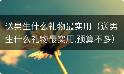 送男生什么礼物最实用（送男生什么礼物最实用,预算不多）