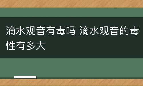 滴水观音有毒吗 滴水观音的毒性有多大
