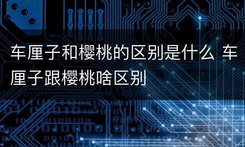 车厘子和樱桃的区别是什么 车厘子跟樱桃啥区别