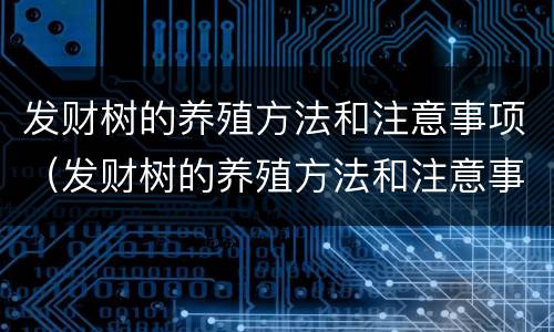 发财树的养殖方法和注意事项（发财树的养殖方法和注意事项浇水）