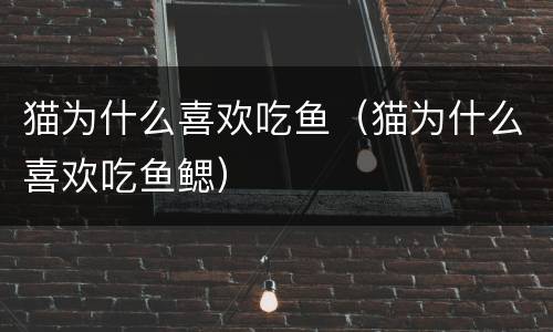 猫为什么喜欢吃鱼（猫为什么喜欢吃鱼鳃）