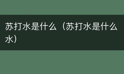 苏打水是什么（苏打水是什么水）