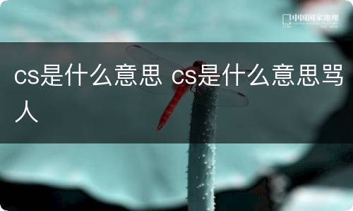 cs是什么意思 cs是什么意思骂人
