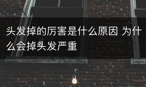 头发掉的厉害是什么原因 为什么会掉头发严重