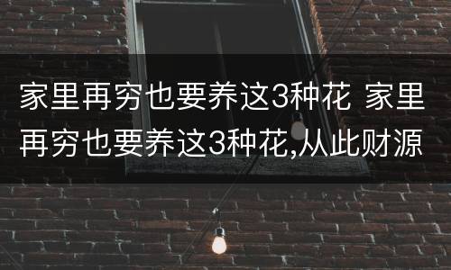 家里再穷也要养这3种花 家里再穷也要养这3种花,从此财源广进!