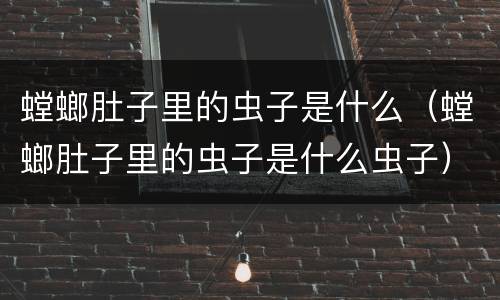 螳螂肚子里的虫子是什么（螳螂肚子里的虫子是什么虫子）