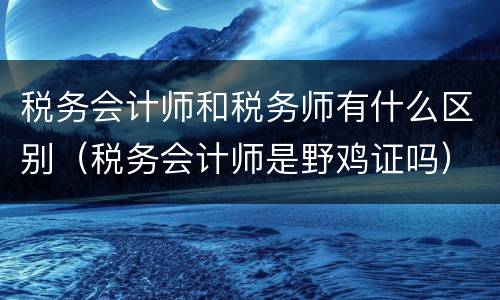 税务会计师和税务师有什么区别（税务会计师是野鸡证吗）
