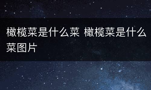 橄榄菜是什么菜 橄榄菜是什么菜图片