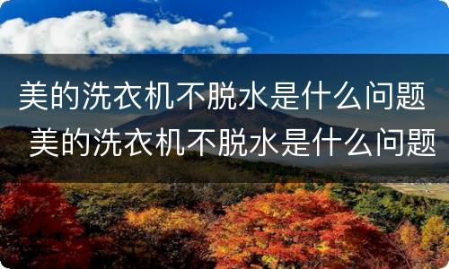 美的洗衣机不脱水是什么问题 美的洗衣机不脱水是什么问题显示e3