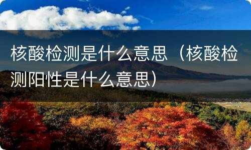 核酸检测是什么意思（核酸检测阳性是什么意思）