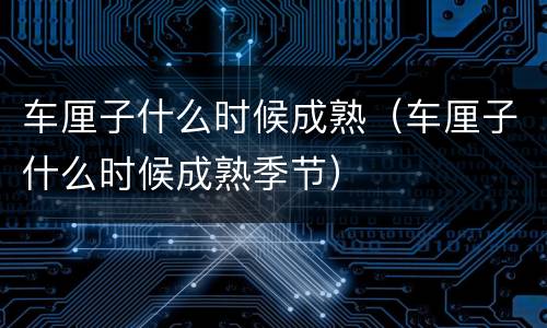 车厘子什么时候成熟（车厘子什么时候成熟季节）