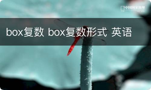 box复数 box复数形式 英语