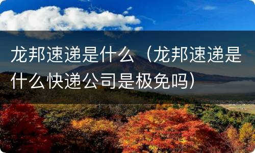 龙邦速递是什么（龙邦速递是什么快递公司是极免吗）