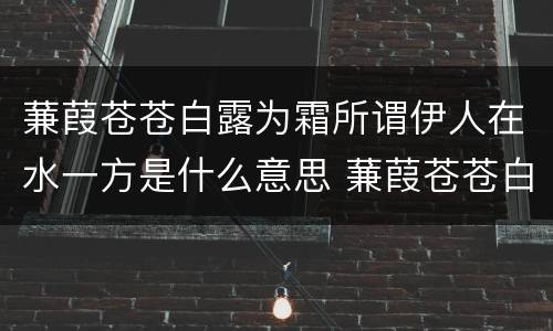 蒹葭苍苍白露为霜所谓伊人在水一方是什么意思 蒹葭苍苍白露为霜所谓伊人在水一方