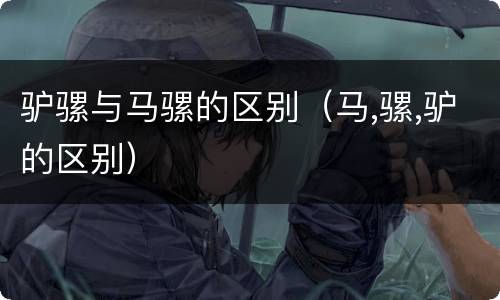 驴骡与马骡的区别（马,骡,驴的区别）