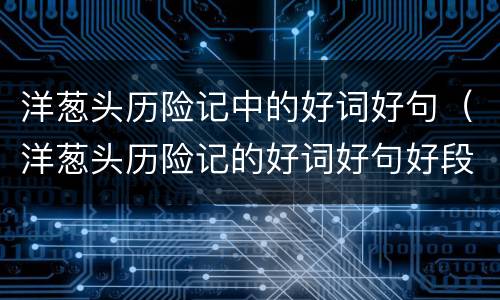 洋葱头历险记中的好词好句（洋葱头历险记的好词好句好段）