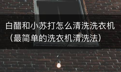 白醋和小苏打怎么清洗洗衣机（最简单的洗衣机清洗法）