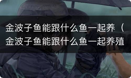 金波子鱼能跟什么鱼一起养（金波子鱼能跟什么鱼一起养殖）