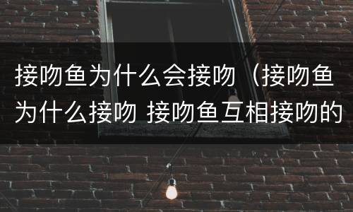接吻鱼为什么会接吻（接吻鱼为什么接吻 接吻鱼互相接吻的原因）