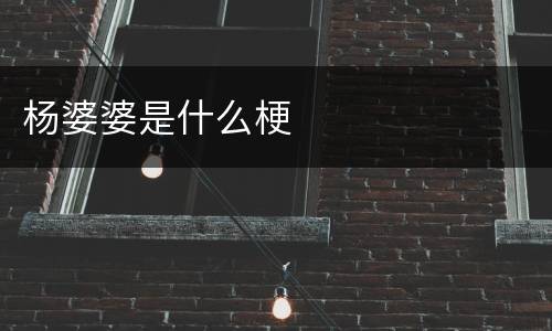 杨婆婆是什么梗