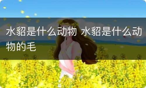 水貂是什么动物 水貂是什么动物的毛