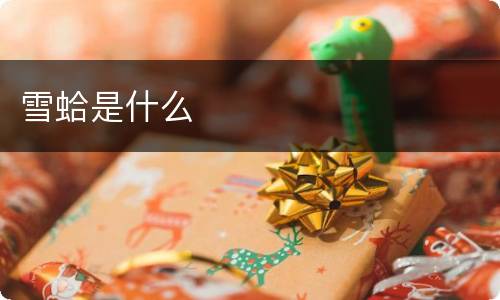 雪蛤是什么