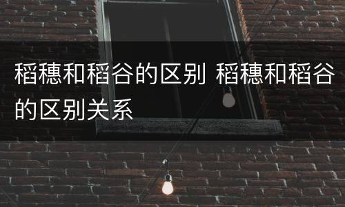 稻穗和稻谷的区别 稻穗和稻谷的区别关系